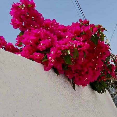 Ona Apartament Sarandë 외부 사진